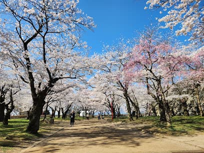 岩手公園(盛岡城跡公園)