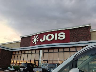 ジョイス 盛岡東安庭店
