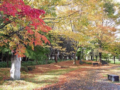 都南中央公園