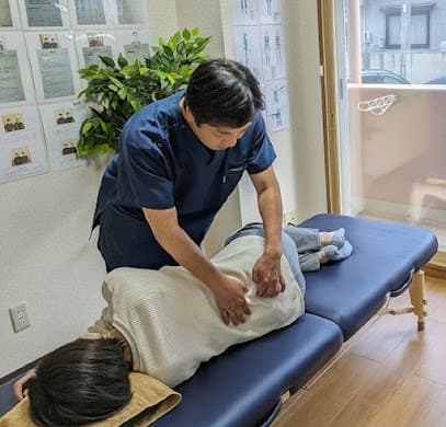 腰痛専門シンシア88
