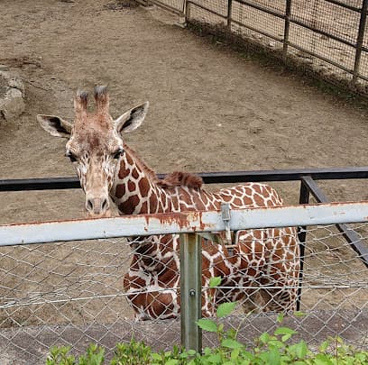 盛岡市動物公園ZOOMO
