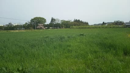 ㈱サトー商会 盛岡営業所